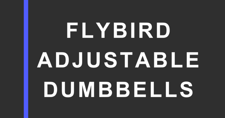 Dark charcoal graphic with a vertical blue bar on the left and large white text reading “FLYBIRD ADJUSTABLE DUMBBELLS” on the right.